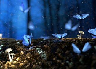 Czy można ciąć mokre drewno? Czy można ciąć mokre drewno?