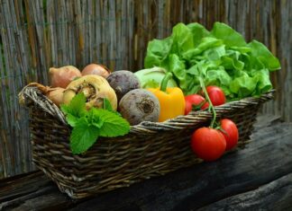 Jakie warzywa są mało wymagające?