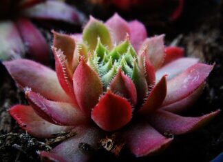 Jakie są grubości podkładów pod panele? Jakie są grubości podkładów pod panele?