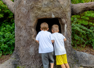 Podróż do świata baśni – wycieczka szkolna do Magicznych Ogrodów wycieczka szkolna